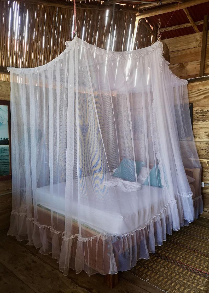 Palmario Hostal image