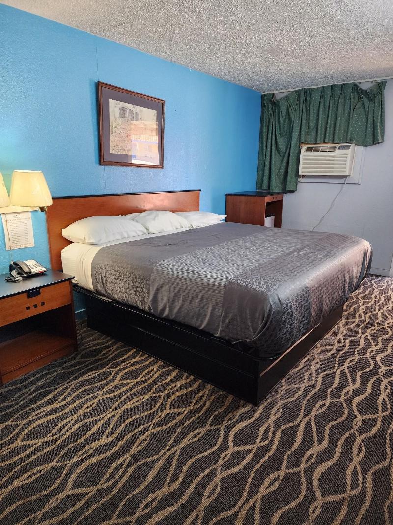 Alamo Motel 3