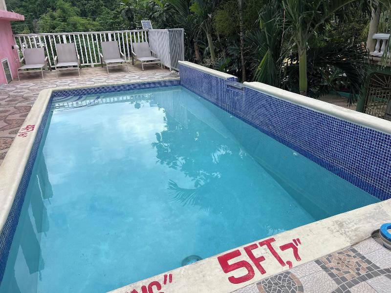 A Taste Of Jamaica Lavern Place image