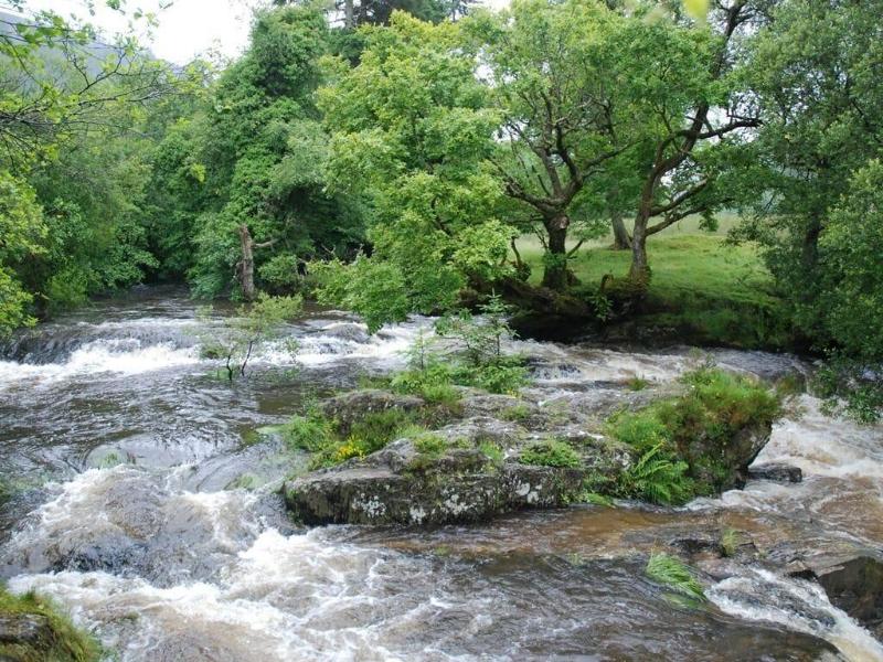 Bronfelin Troed Y Rhiw Holiday Cottages image