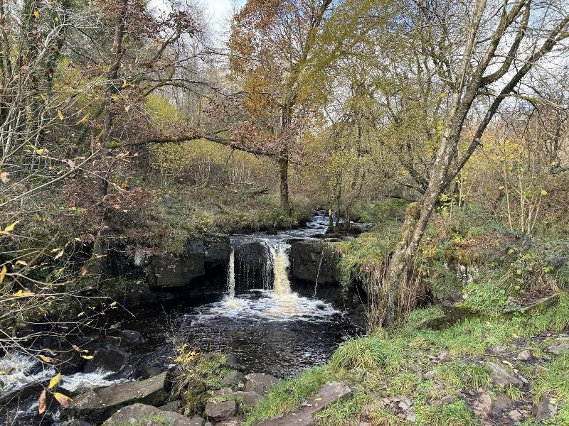Bronfelin Troed Y Rhiw Holiday Cottages image