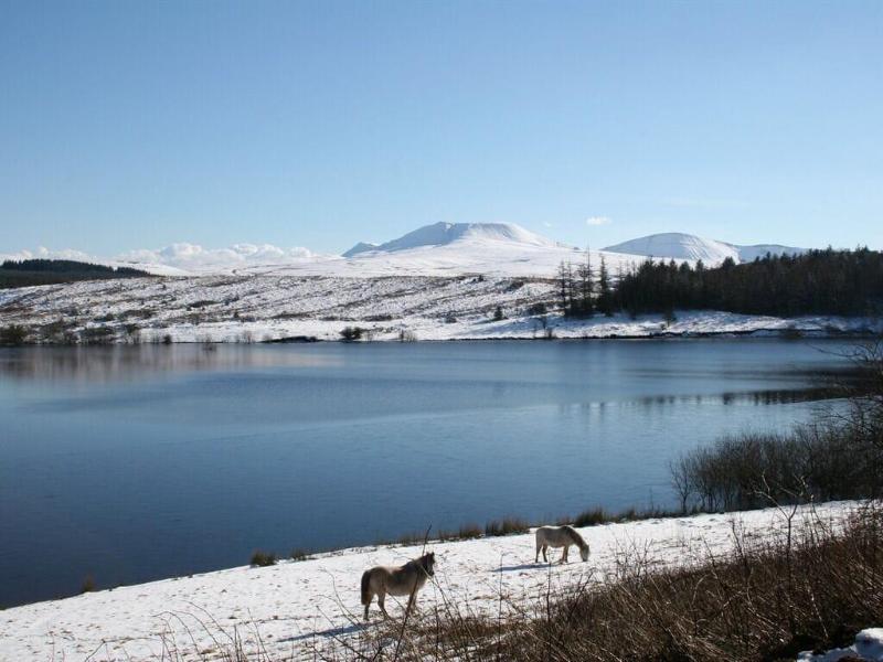 Bronfelin Troed Y Rhiw Holiday Cottages image