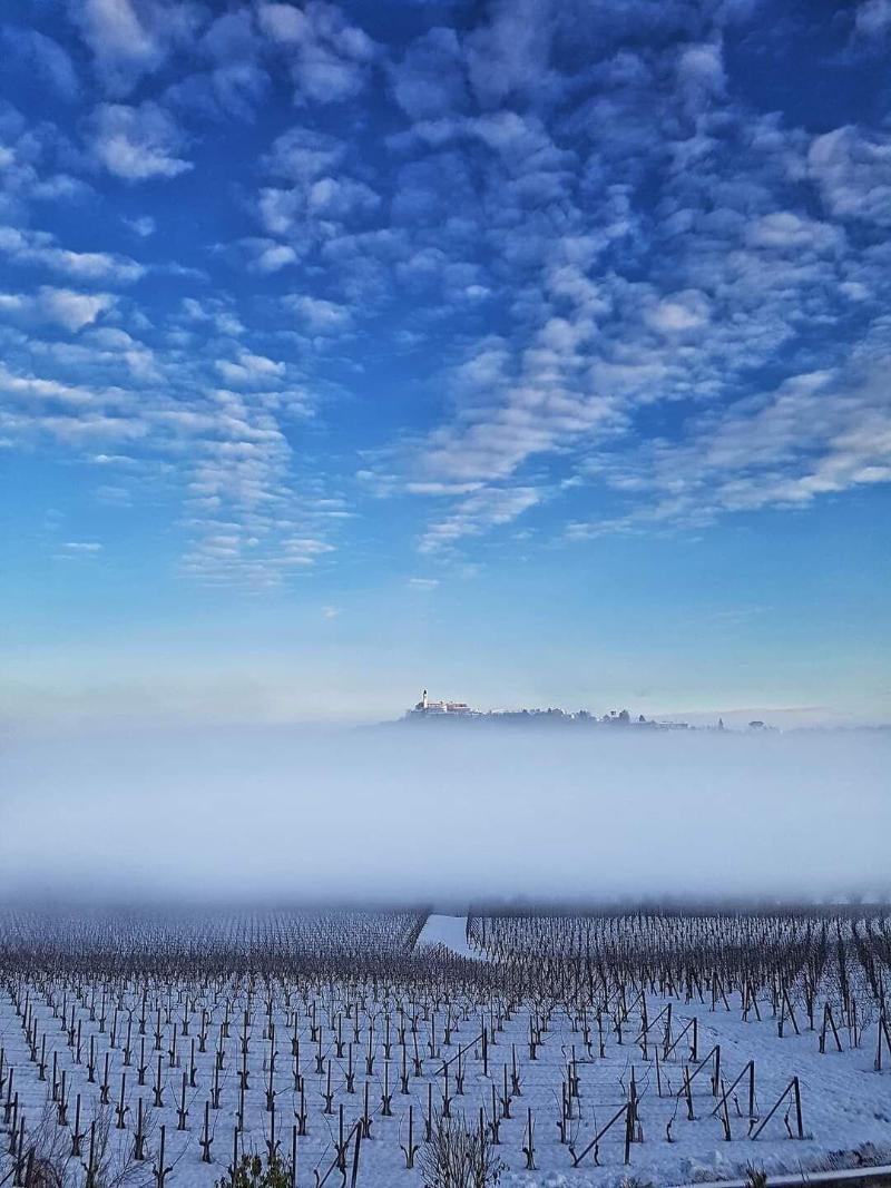 B B Terra Di Collina image