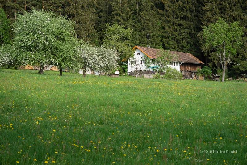 Haus Am Waldesrand image