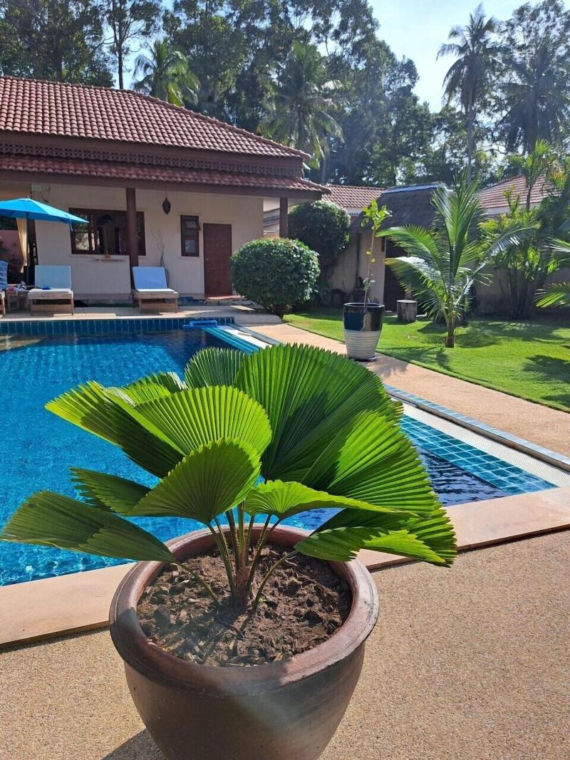 Laura S Guest House Samui — general view