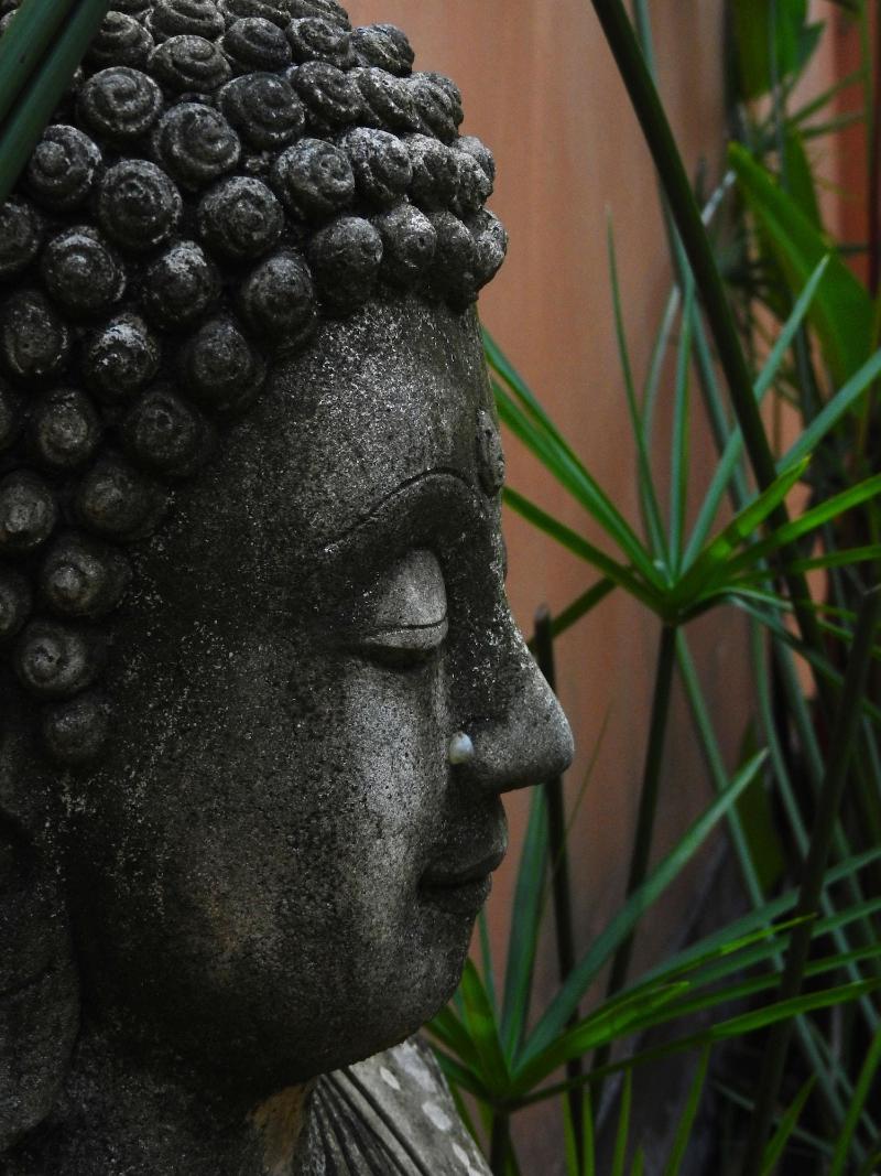 Laura S Guest House Samui image