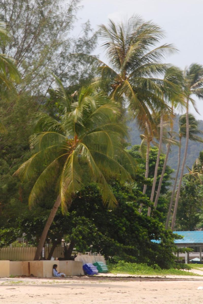 Laura S Guest House Samui image
