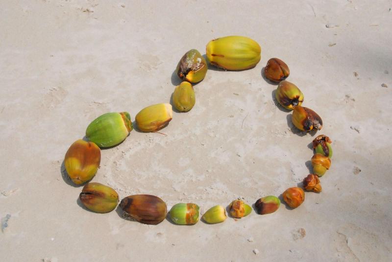 Laura S Guest House Samui image