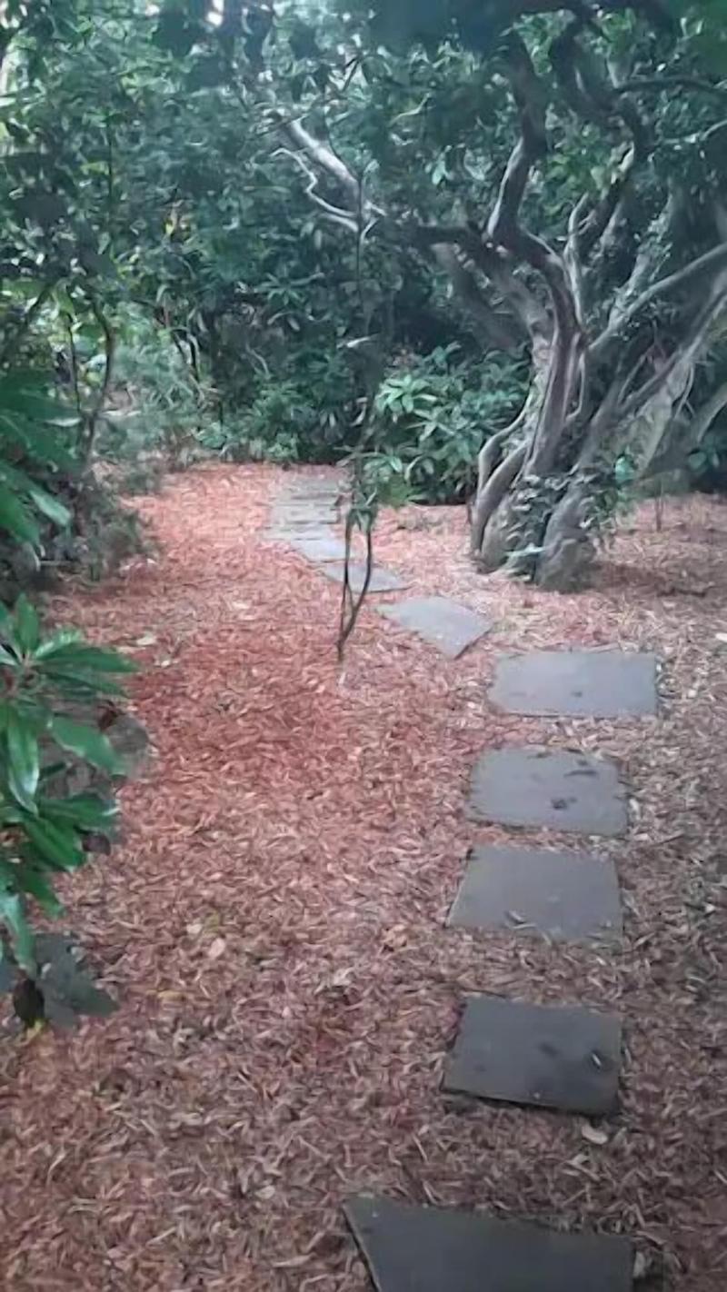 Little Robin Gate image