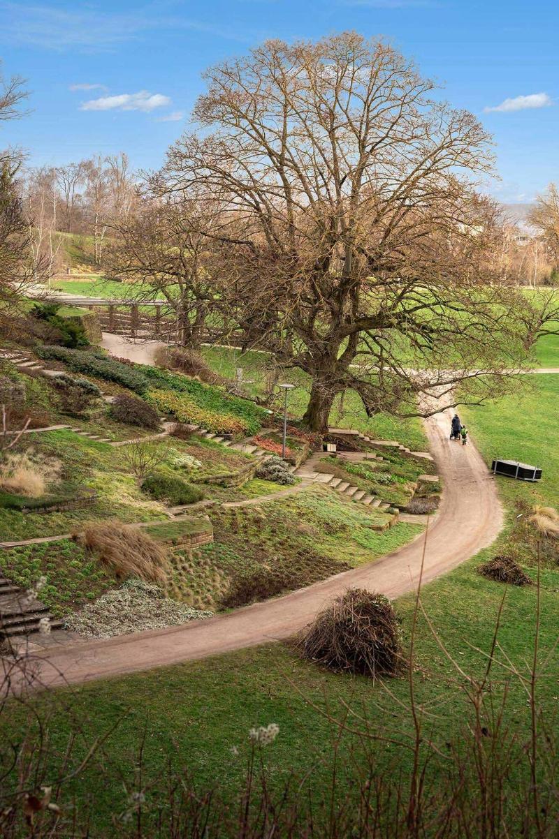 Limehome Stuttgart Elsenhansstr image