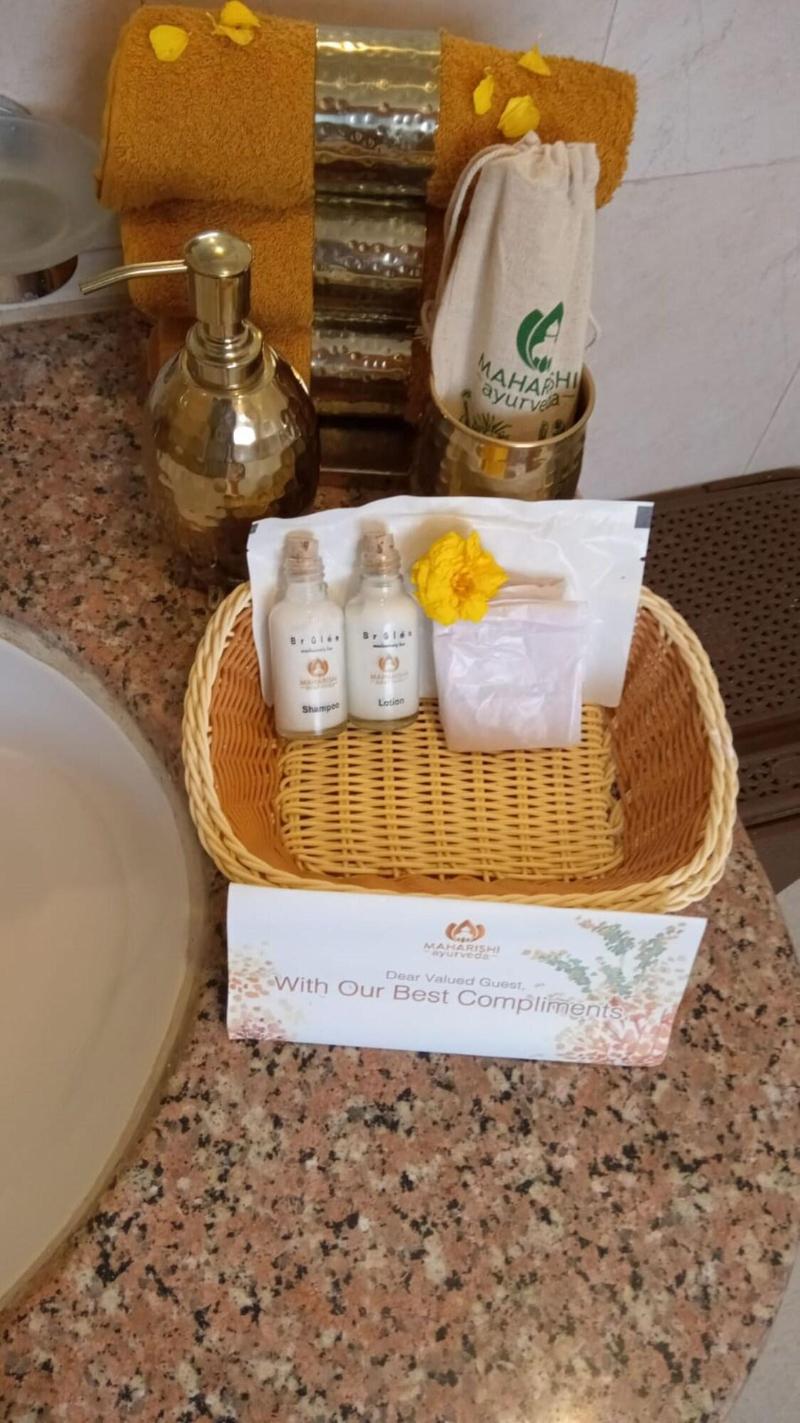 Maharishi Ayurveda Boutique Wellness Retreat image