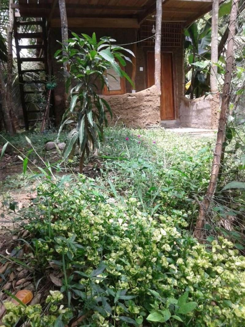 Green Leaf Cabanas image