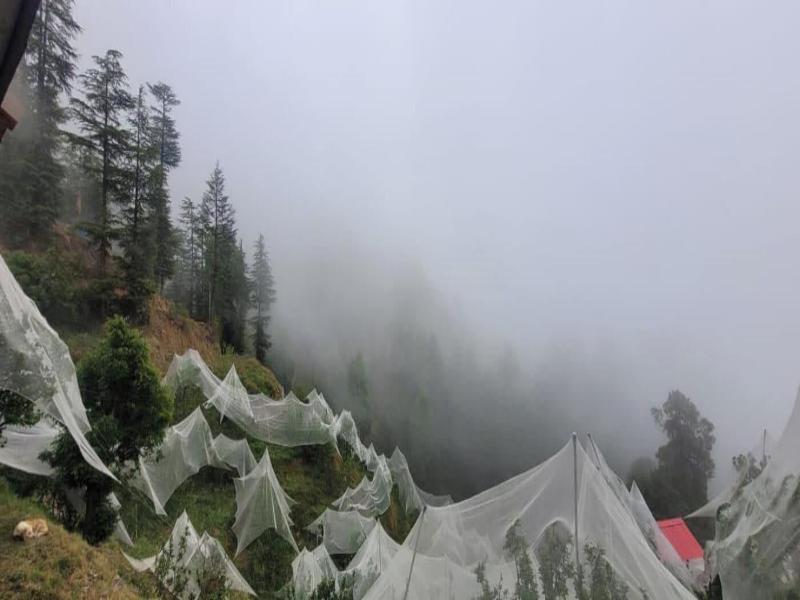Hari Om Paradise image