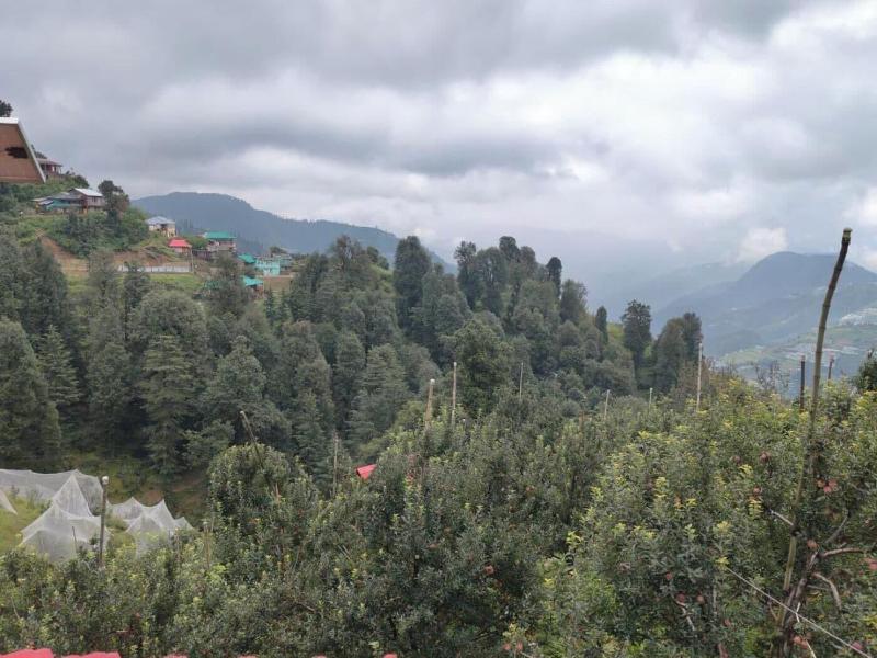Hari Om Paradise image