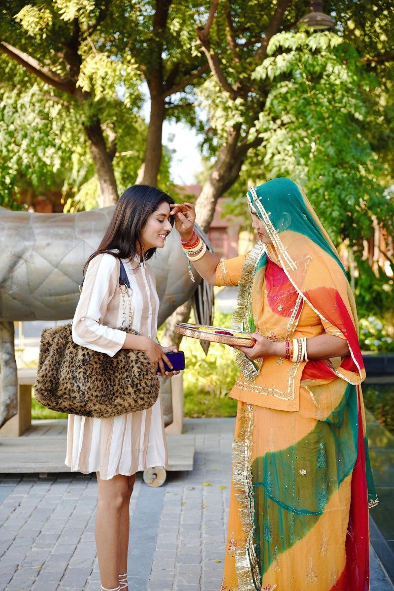 Surpura Bagh image