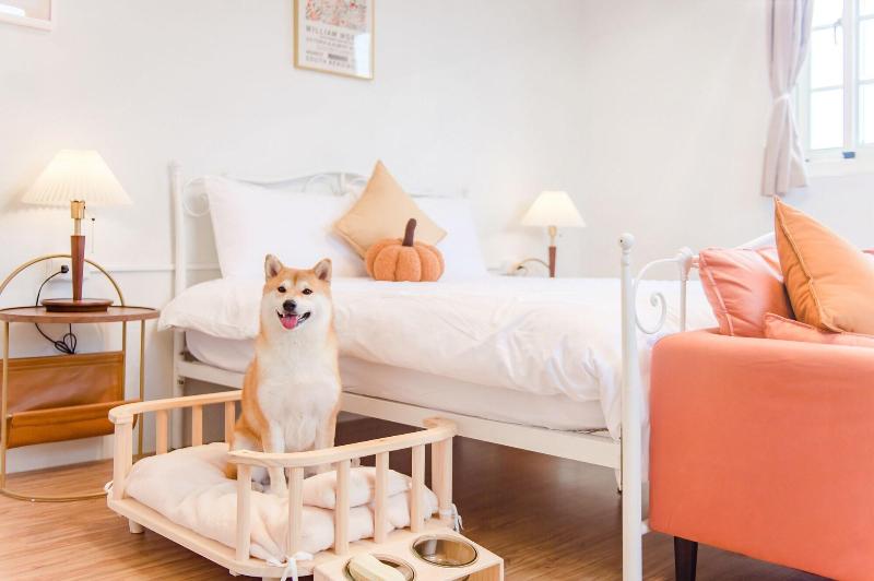 H Pet Taitung Homeabout image