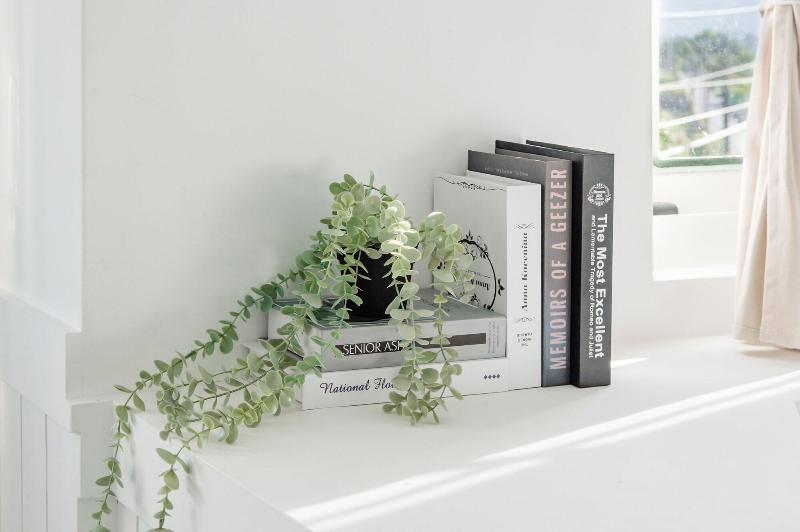 H Pet Taitung Homeabout image