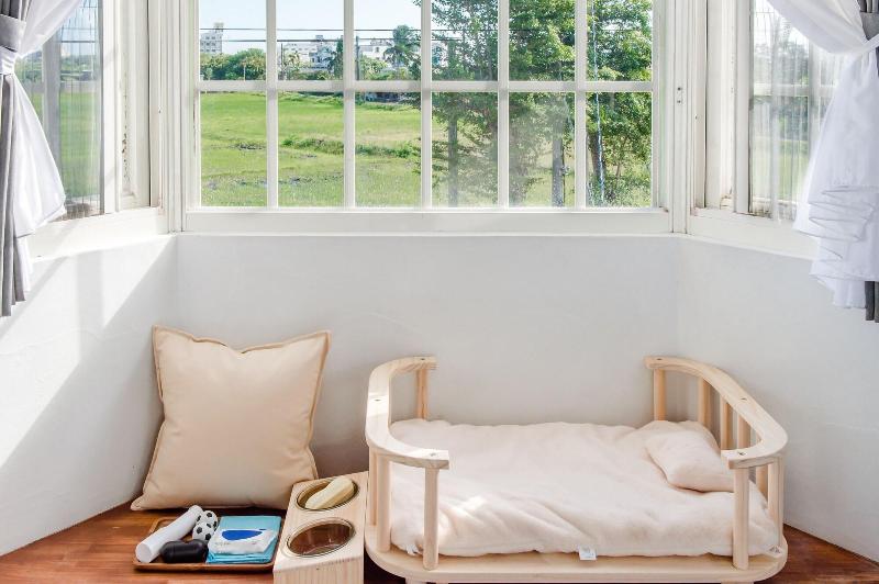 H Pet Taitung Homeabout image