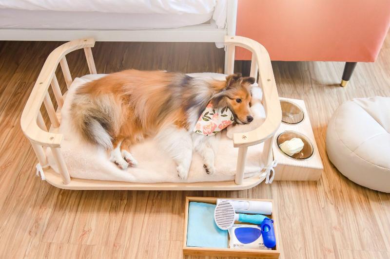 H Pet Taitung Homeabout image