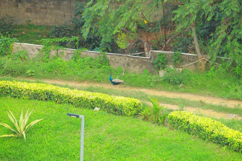 5 Falls Resort, Tarangambadi
