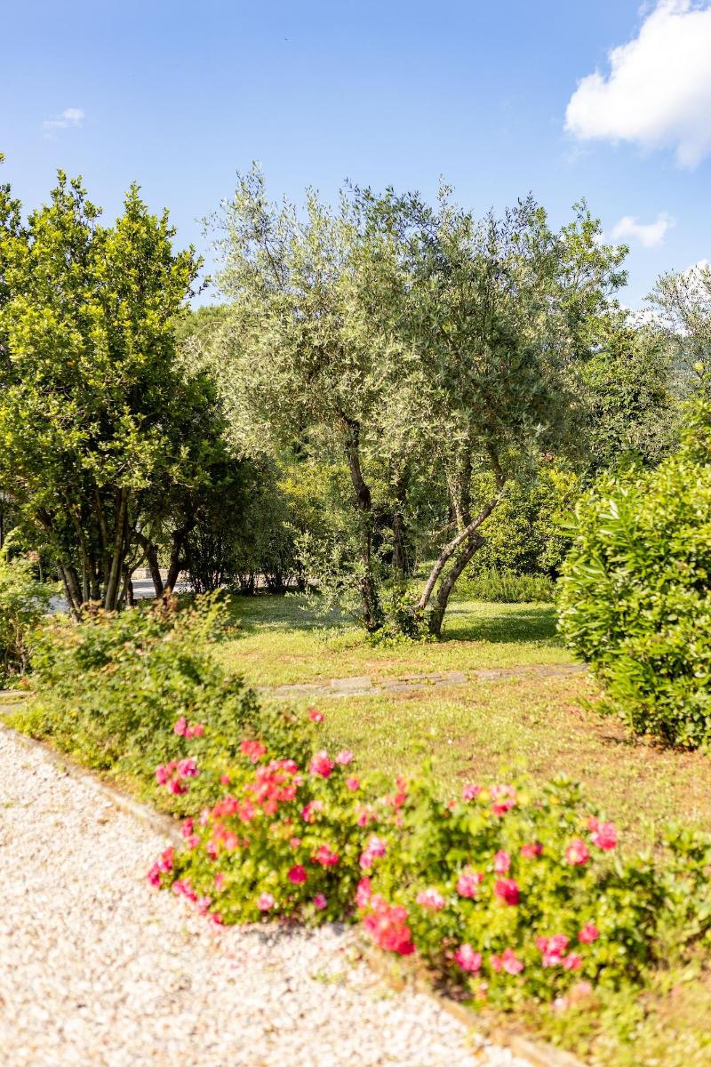 Agriturismo La Pievuccia image