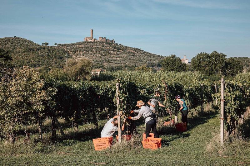 Agriturismo La Pievuccia image