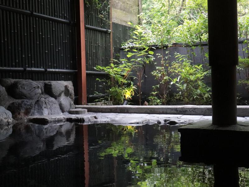 Onsen Guesthouse Tsutaya Hostel image