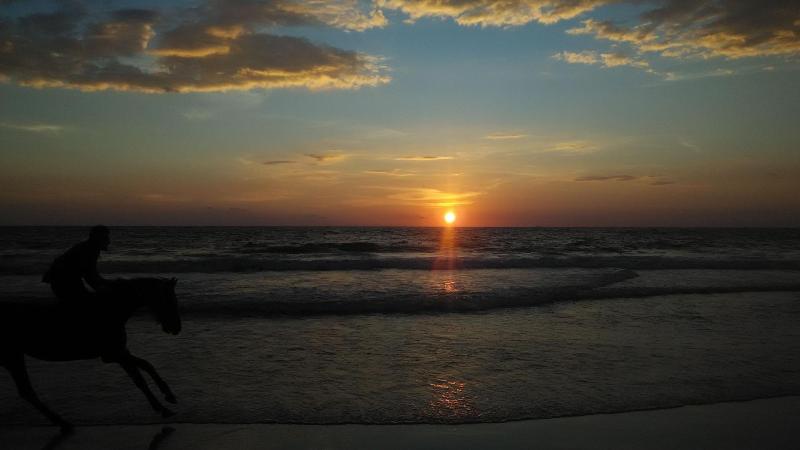 Ss Beach Resort image