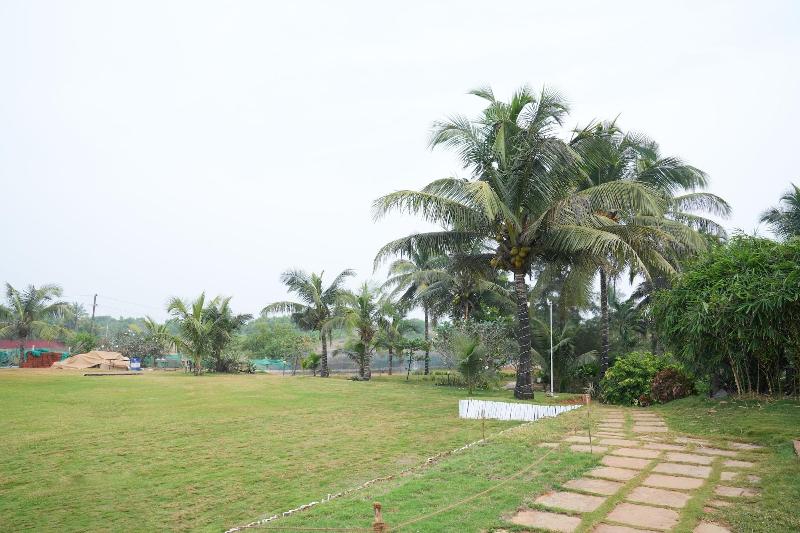 The Beach House Goa