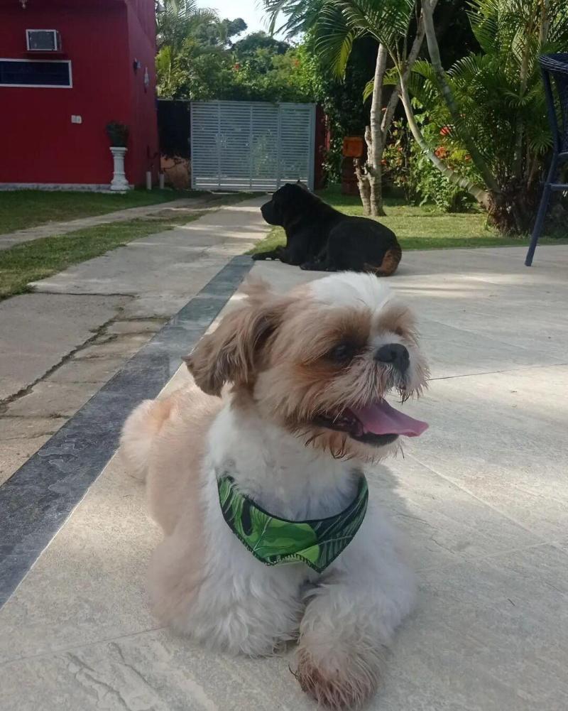 Pousada Arpoador De Buzios image