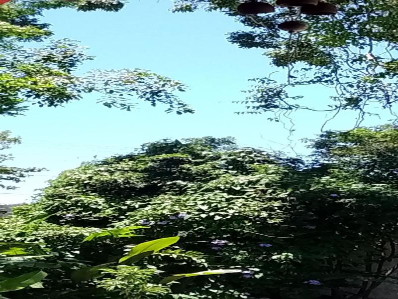 Pousada Arpoador De Buzios image