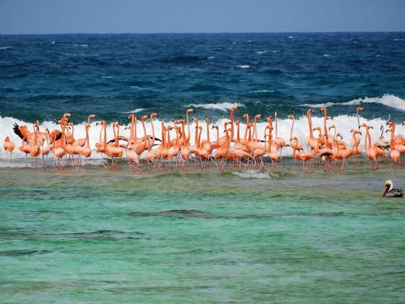 Posada Acuario image