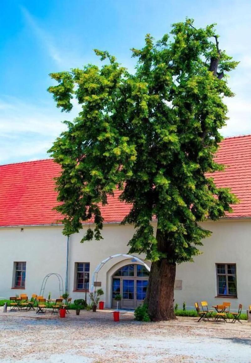 Paa Ac Wiechlice — general view
