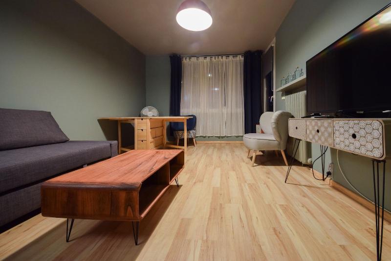 Shortstaypoland Srebrna B36 image