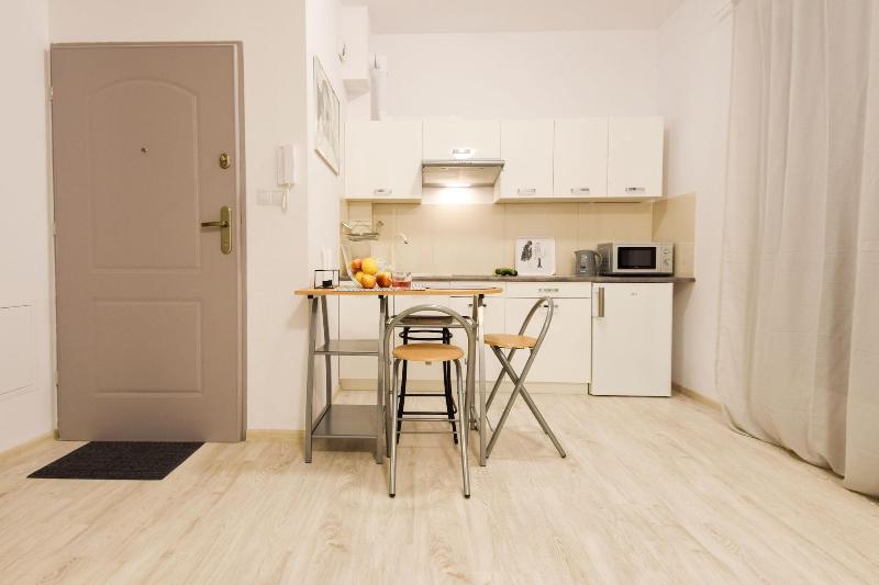 Shortstaypoland Srebrna B36 image