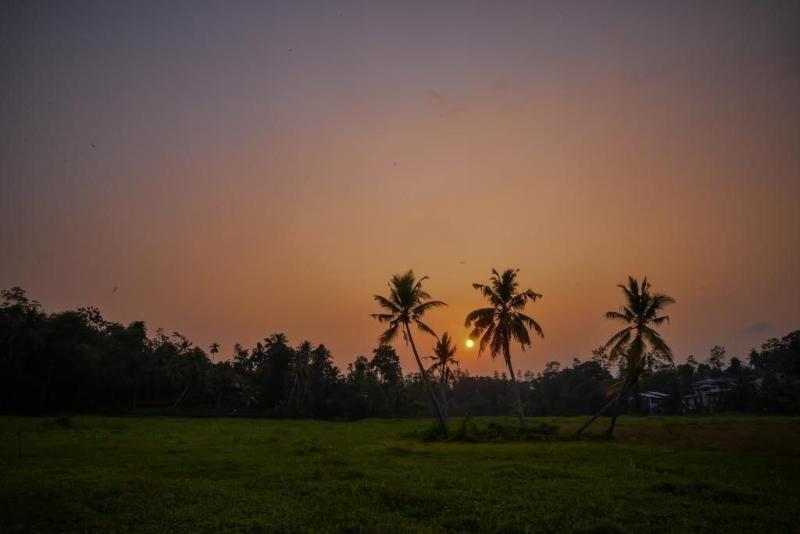 Green View Homestay image