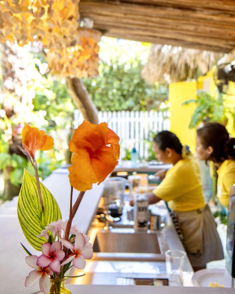 Boardwalk Boutique Hotel Aruba image