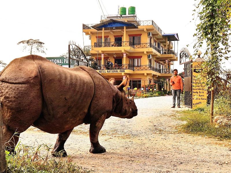 Hotel National Park image
