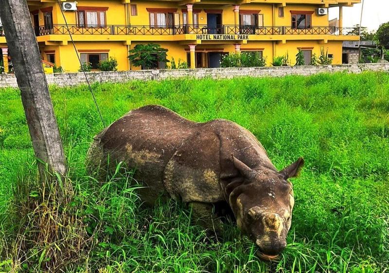 Hotel National Park image