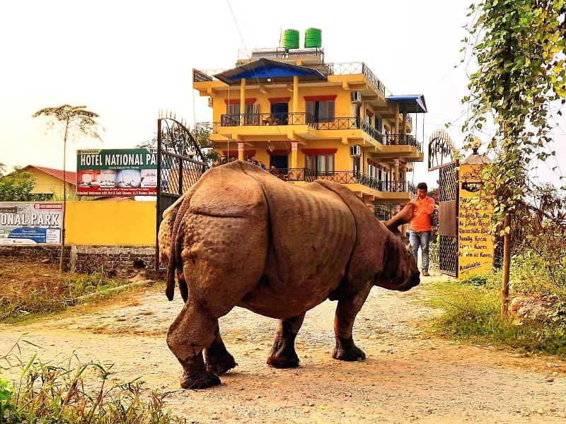 Hotel National Park image