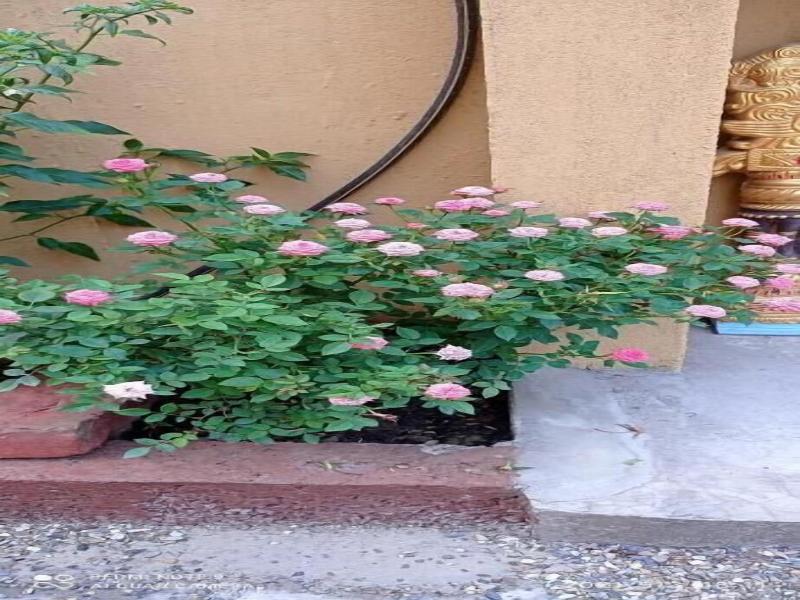 Hotel National Park image