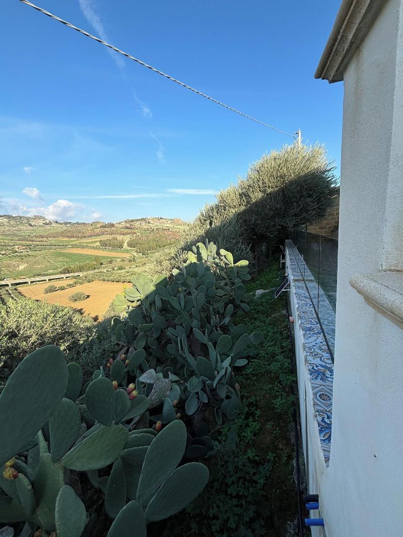 Dea Degli Ulivi House image