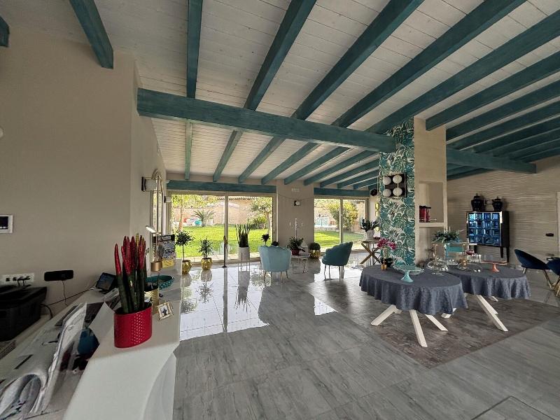 Dea Degli Ulivi House image