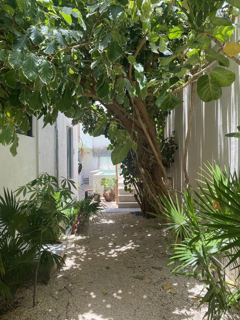 Casa Cielo Cancun image
