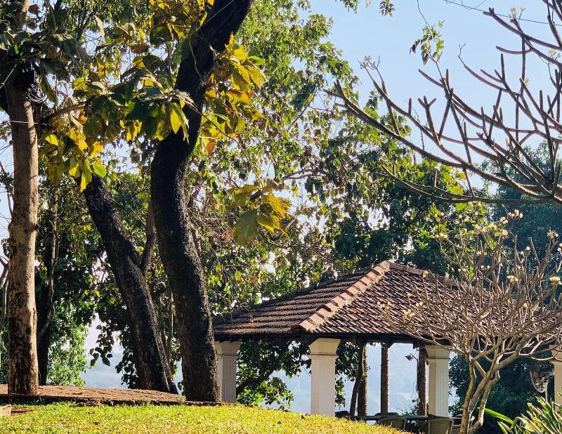 The Postcard Velha — general view