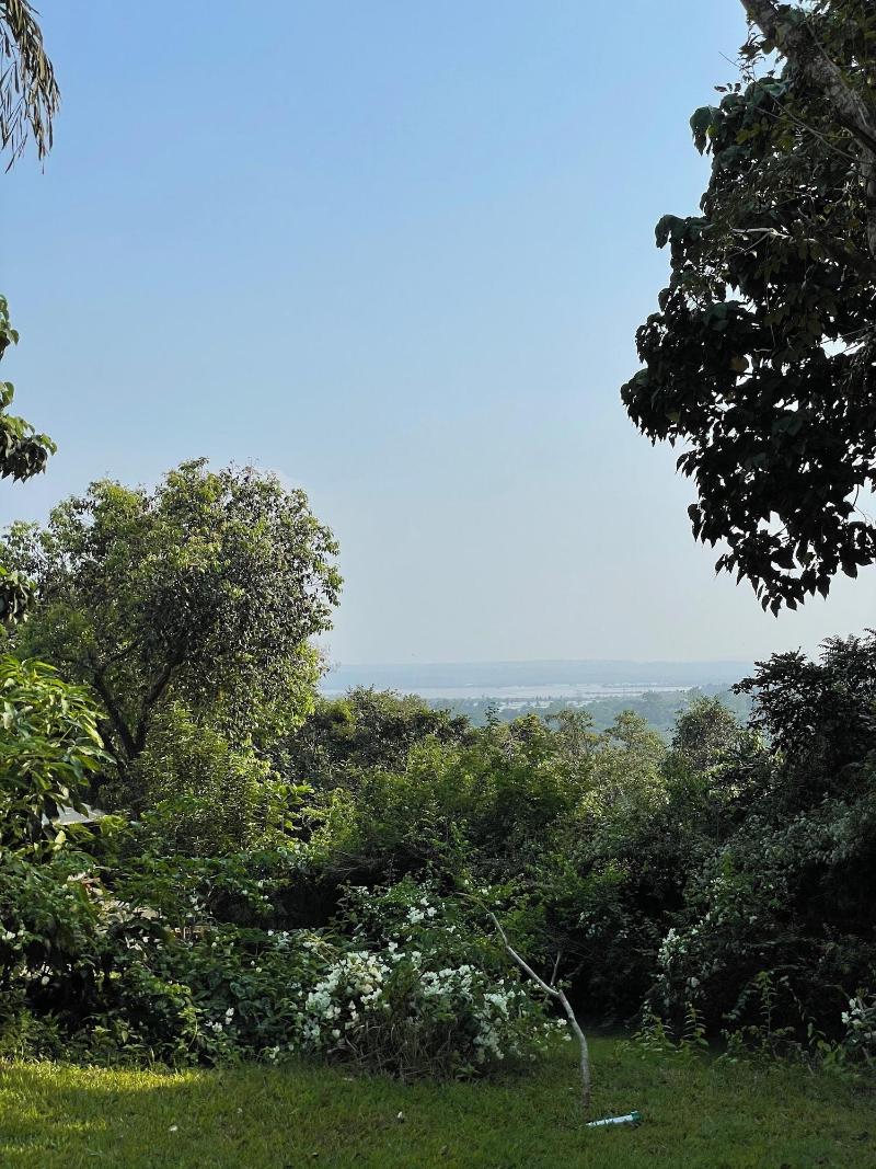 The Postcard Velha image