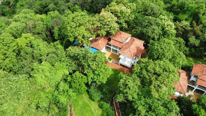 The Postcard Velha image