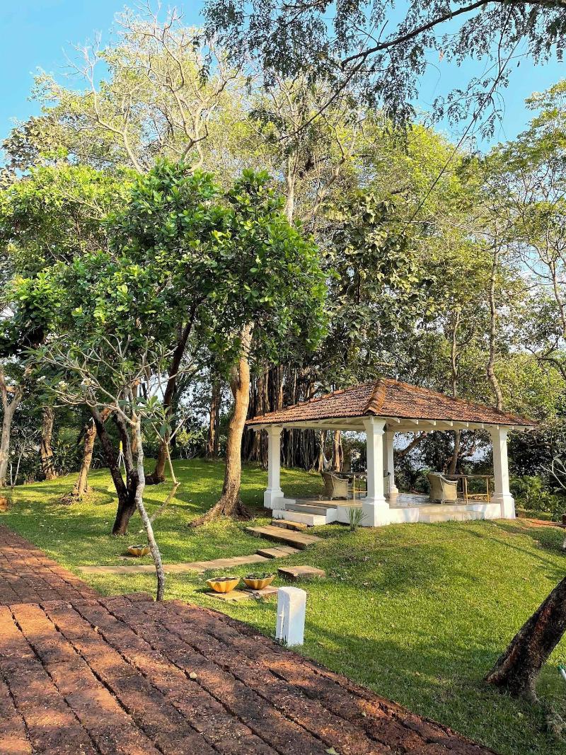 The Postcard Velha image