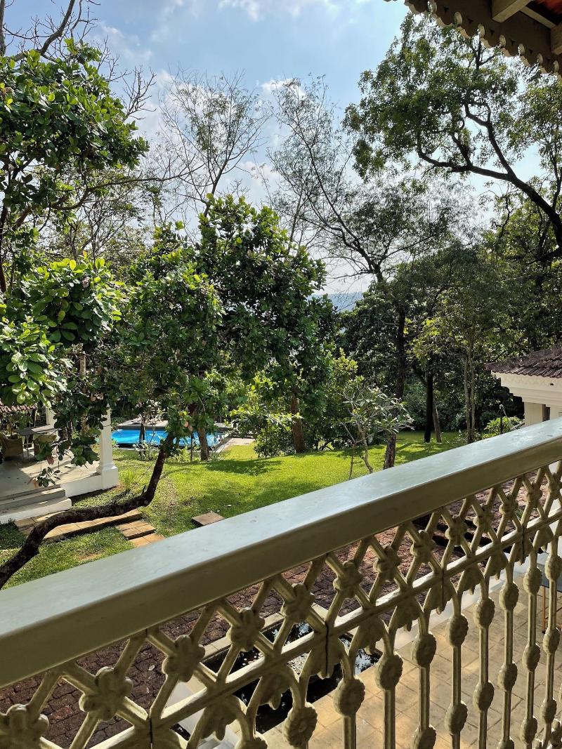 The Postcard Velha image