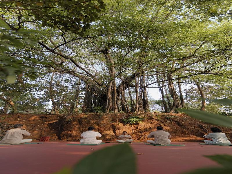The Postcard Velha image